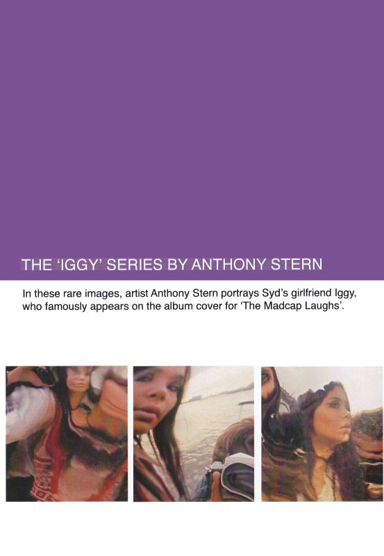 Anthony Stern - Iggy triptych