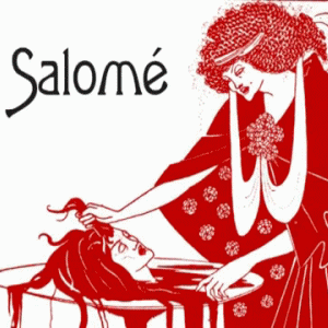 Salome opening screen