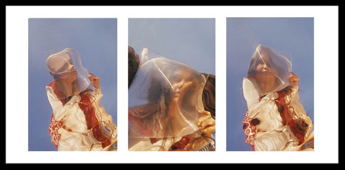 Iggy Triptych 2 by Anthony Stern